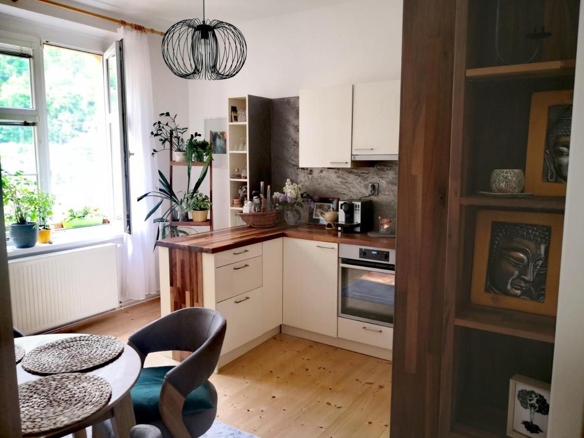 Apartmany Ivana Decin Bagian luar foto