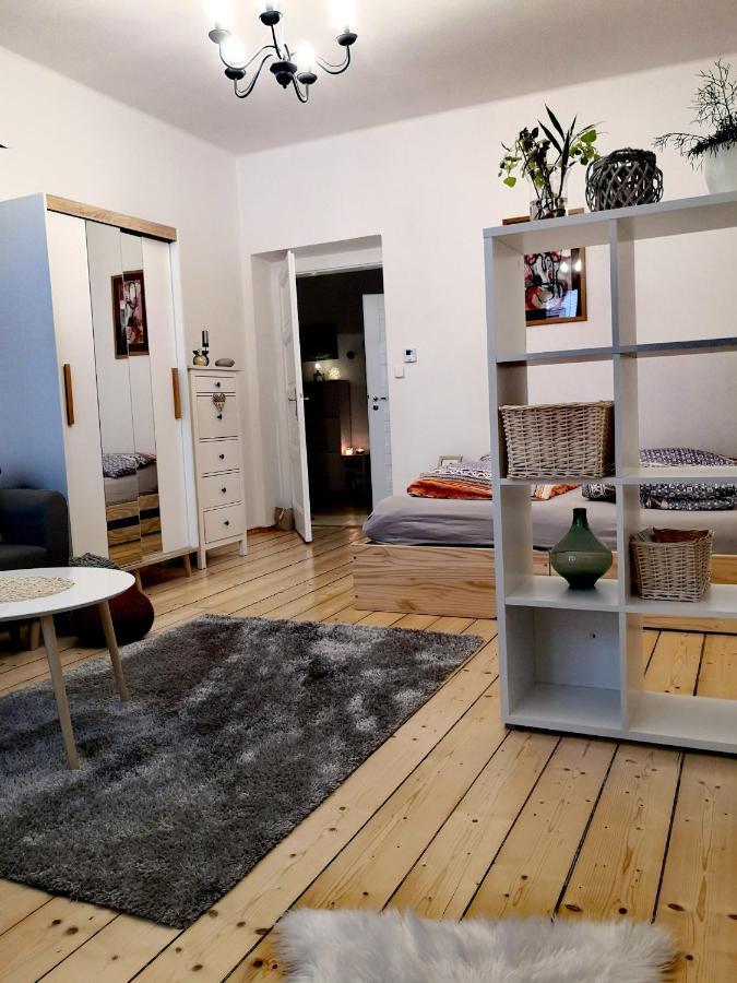Apartmany Ivana Decin Bagian luar foto