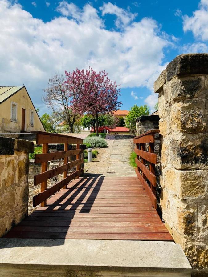 Apartmany Ivana Decin Bagian luar foto