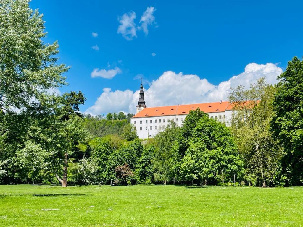 Apartmany Ivana Decin Bagian luar foto